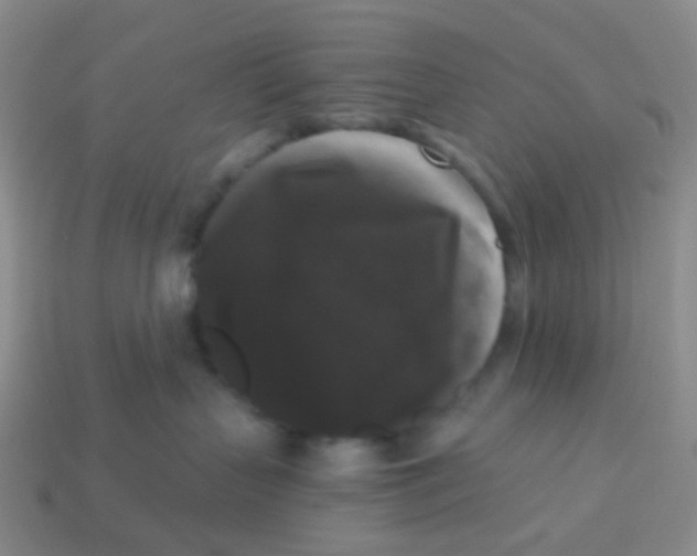 X0000113270383200910081406