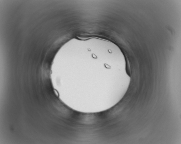 X0000113270384200910081406