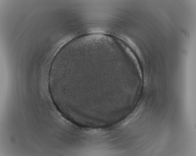 X0000113270385200910081405