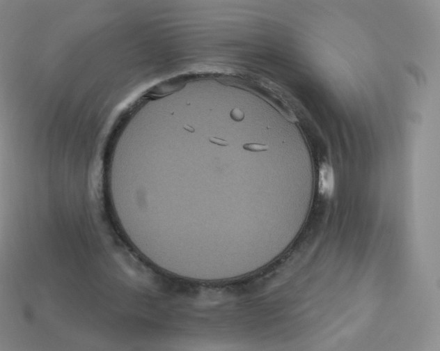 X0000113270388200910081405