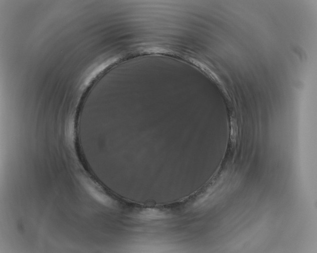 X0000113270390200910081405