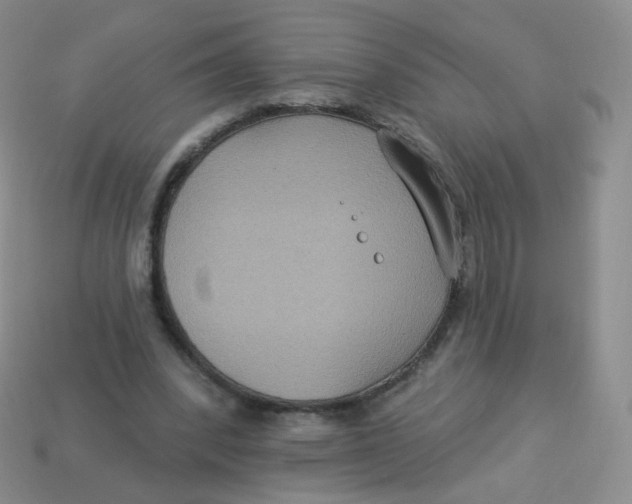 X0000113270392200910081405