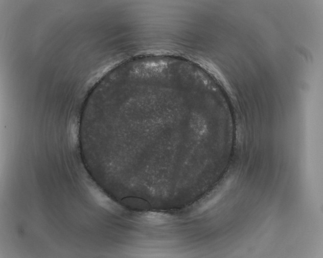 X0000113270393200910081405