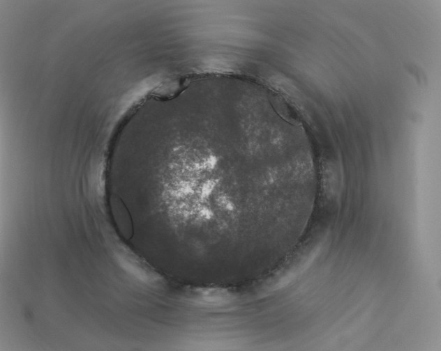 X0000113270395200910081405