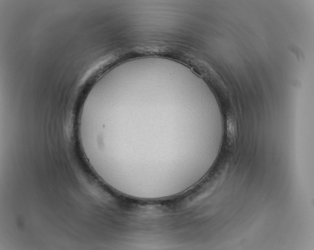 X0000113270396200910081405