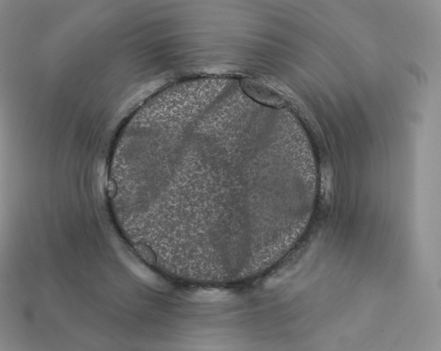 X0000113270397200910081405