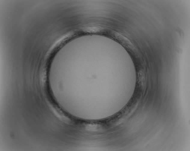 X0000113270400200910081405