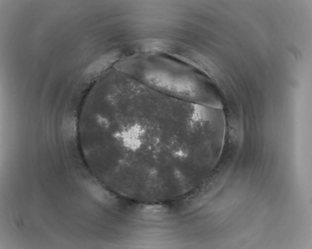 X0000113270401200910081405