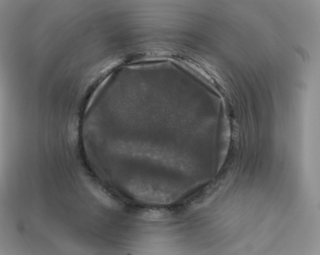 X0000113270402200910081405