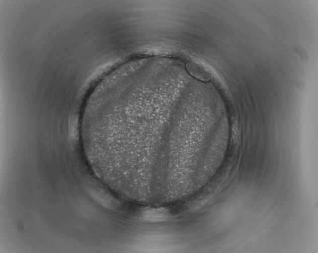 X0000113270403200910081405