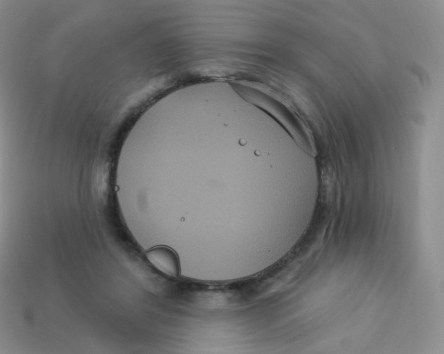 X0000113270404200910081405