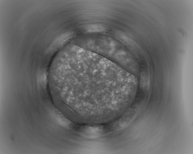 X0000113270405200910081405