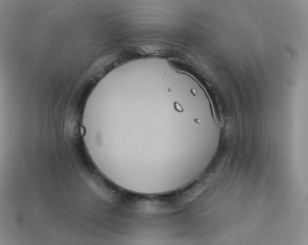 X0000113270408200910081405