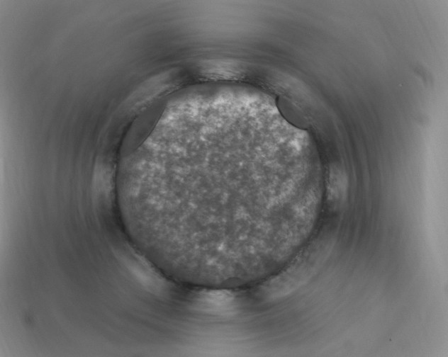 X0000113270409200910081405