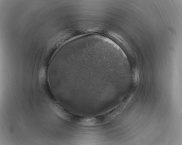 X0000113270410200910081405