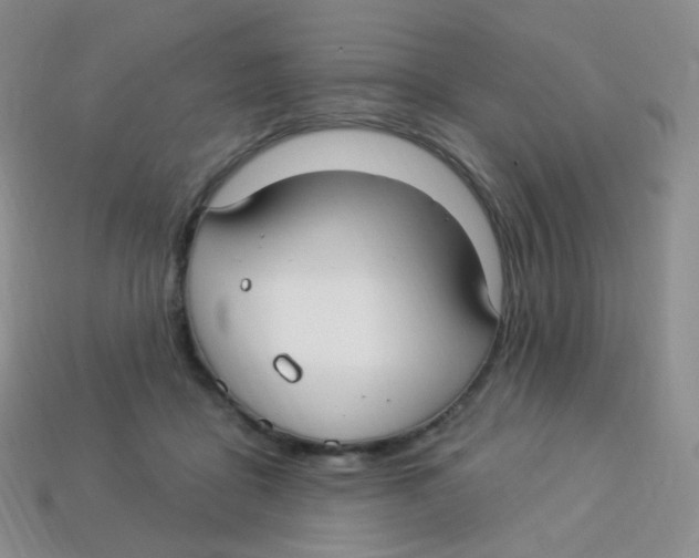 X0000113270411200910081405