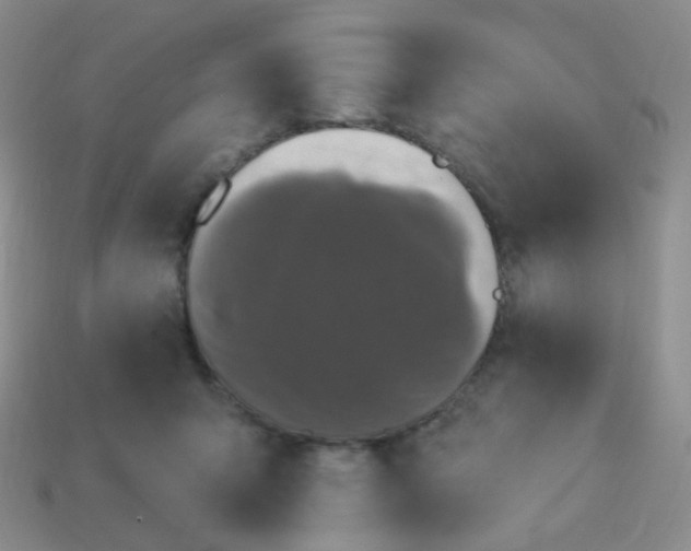 X0000113270415200910081405