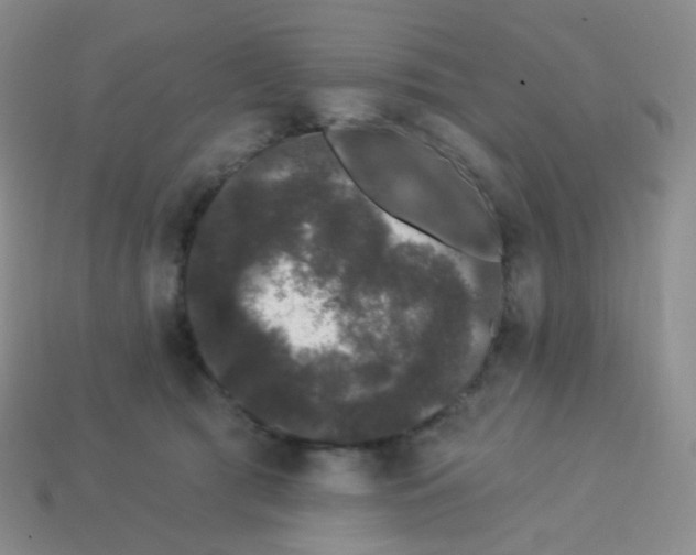 X0000113270417200910081405