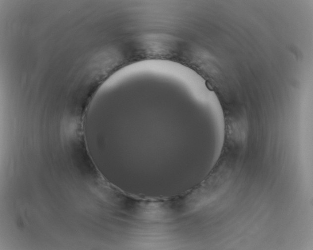 X0000113270419200910081405