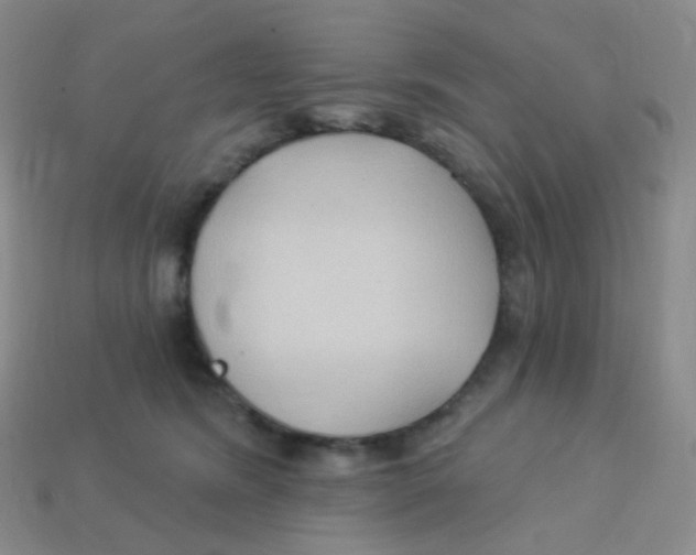 X0000113270420200910081404