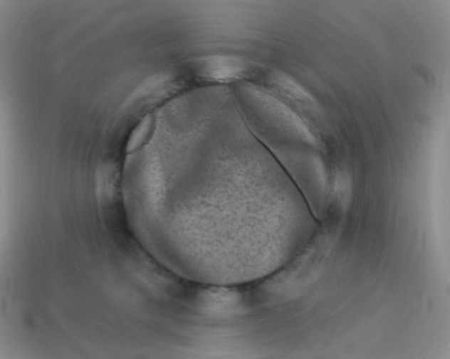 X0000113270421200910081404