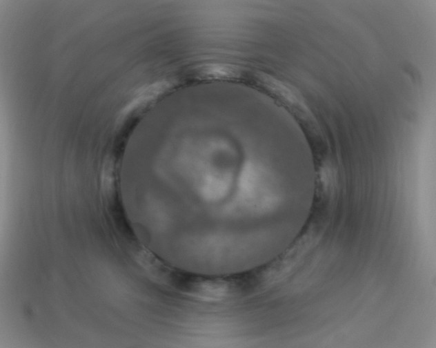 X0000113270423200910081404