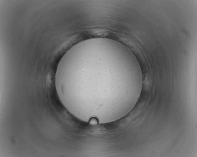 X0000113270424200910081404