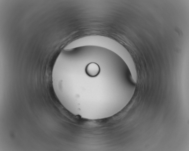 X0000113270425200910081404