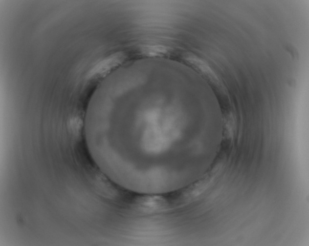 X0000113270427200910081404