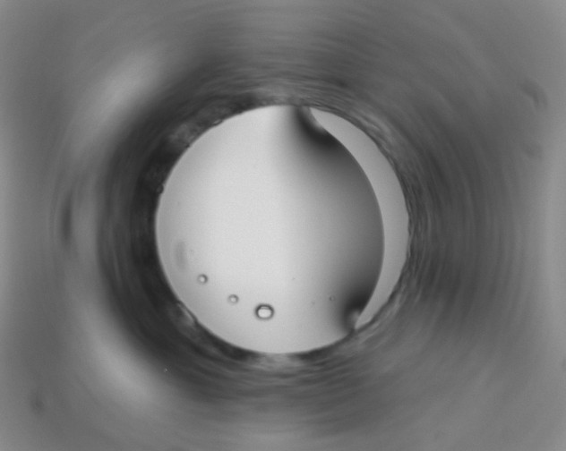 X0000113270429200910081404