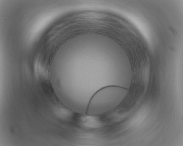 X0000113270431200910081404