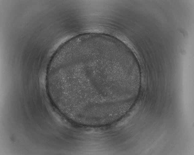 X0000113270434200910081404