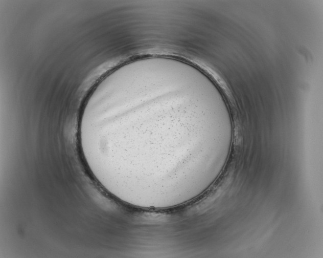 X0000113270437200910081404