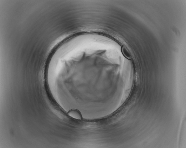 X0000113270438200910081404