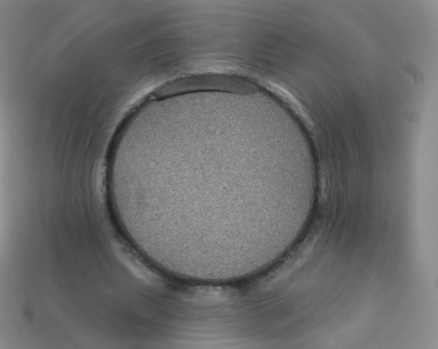 X0000113270439200910081404