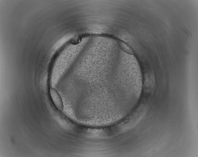 X0000113270440200910081404