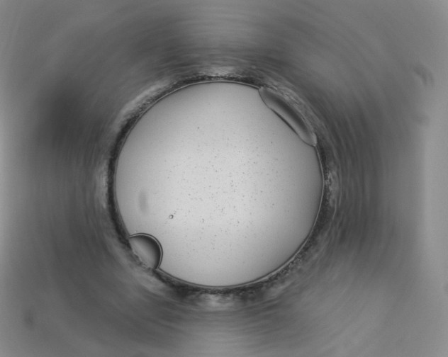 X0000113270442200910081404