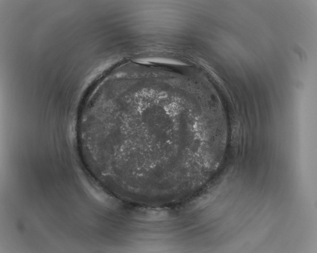 X0000113270443200910081404