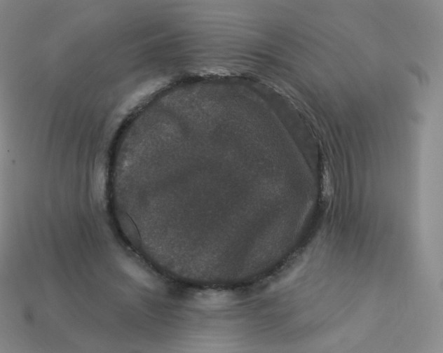 X0000113270444200910081404