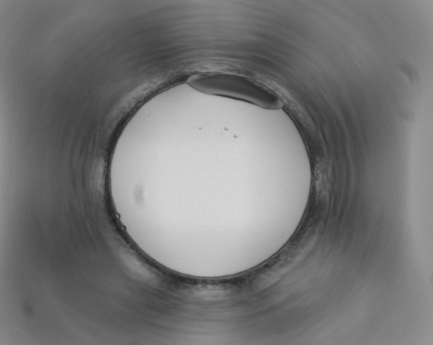 X0000113270445200910081404