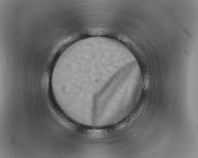 X0000113270448200910081404