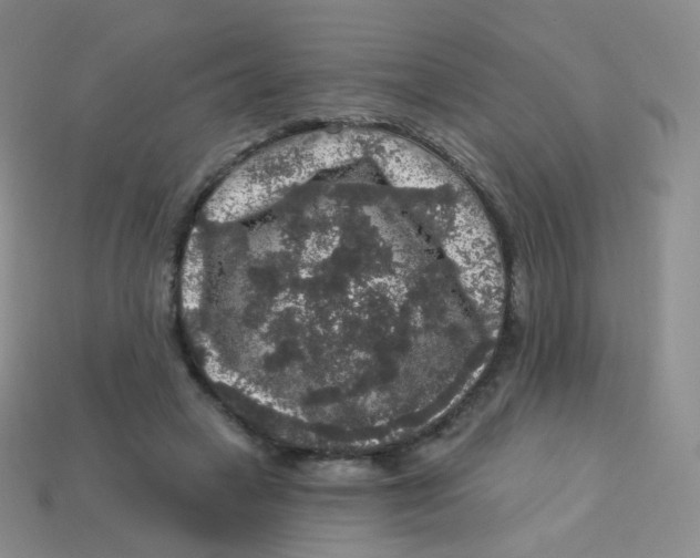 X0000113270449200910081404