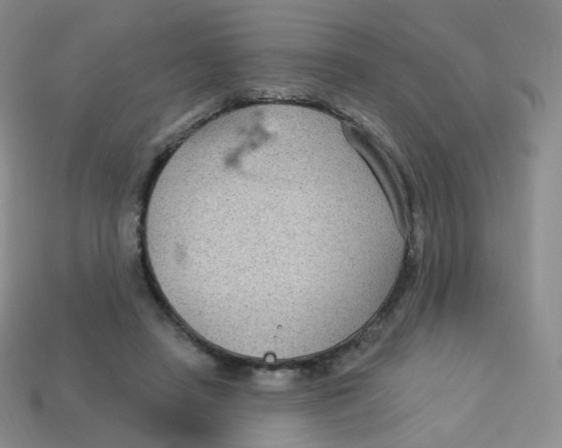 X0000113270450200910081404