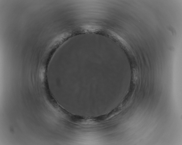 X0000113270451200910081404