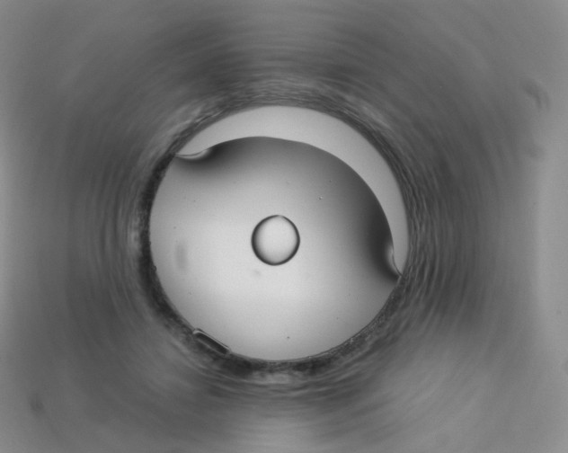 X0000113270452200910081404