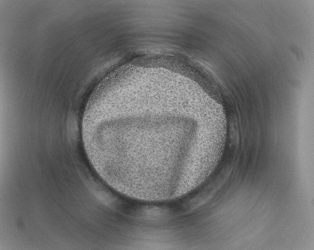 X0000113270453200910081404