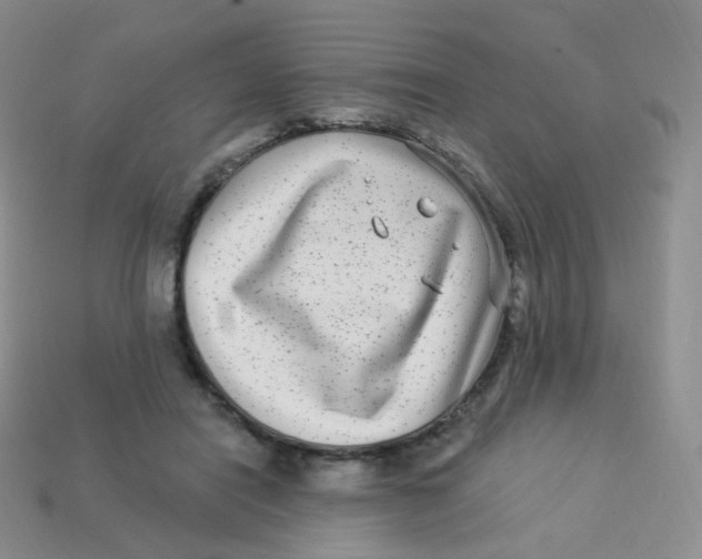 X0000113270454200910081404