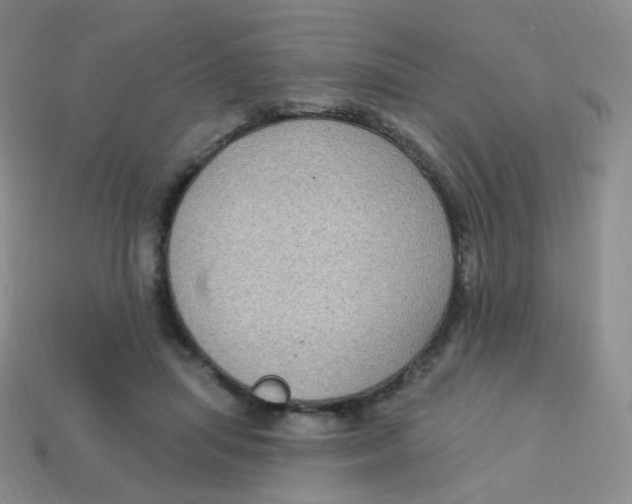 X0000113270455200910081404