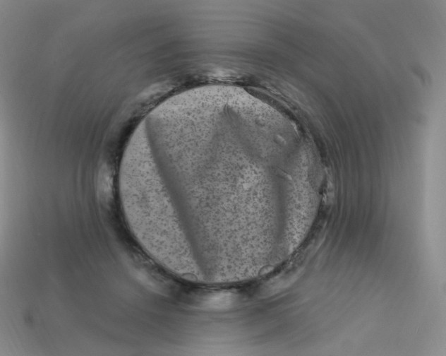 X0000113270456200910081404