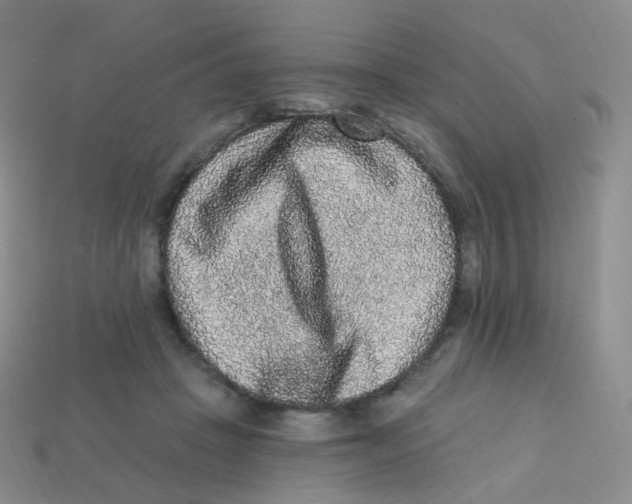 X0000113270457200910081404